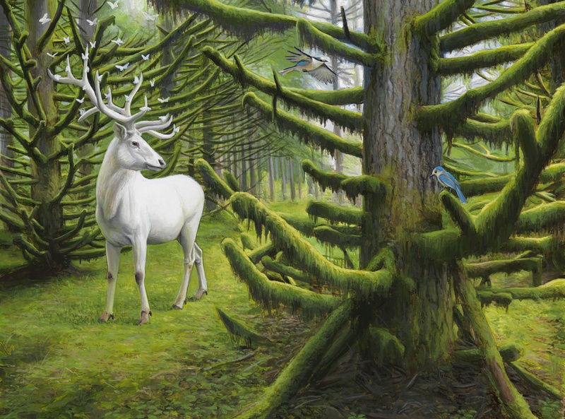 Carousel Image number 2